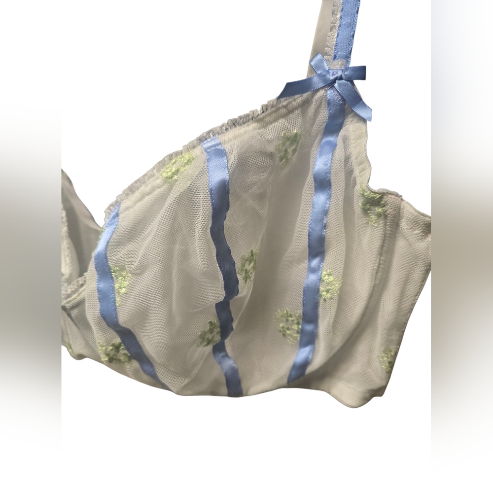Cacique Elegant Blue Ribbon and Embroidered Cream Mesh Wired Bra 44DD - Picture 2 of 8